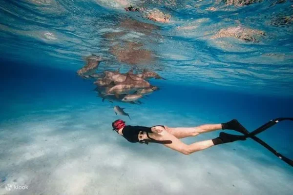 Best Time to Visit the Red Sea: A Month-by-Month Guide